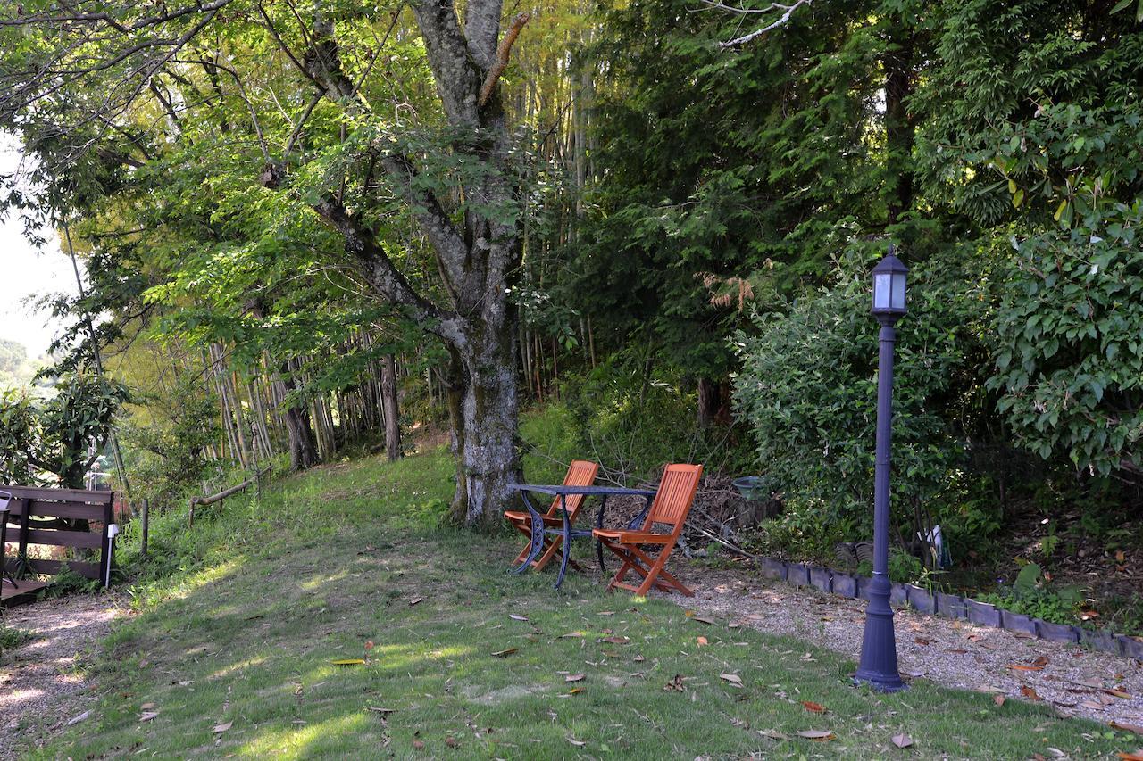Kotorian Villa Asuka Rum bild